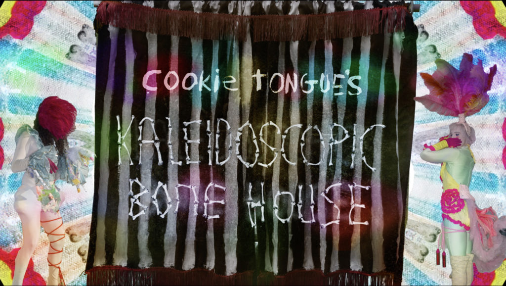 kaleidoscopic bone house