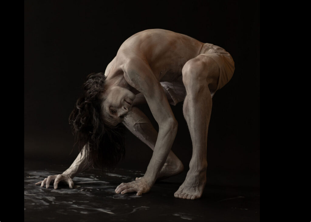 OSUKASU_Butterfly Harvest_Promo Image 1_Photographer Ava Pellor