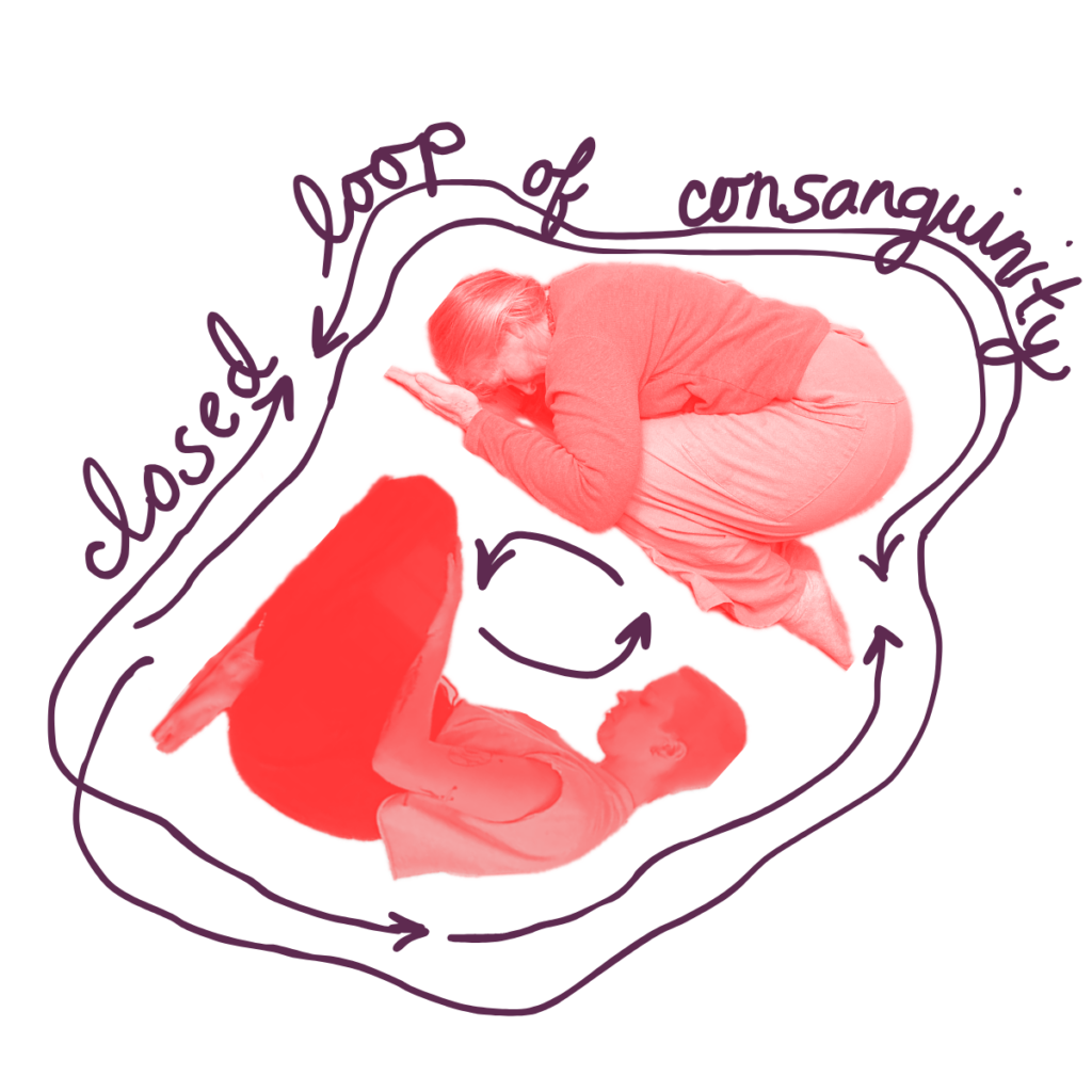 closed loop - borderlight